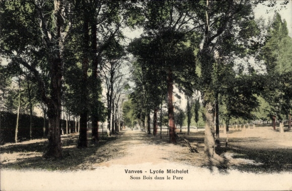 Postcard Vanves Hauts de Seine, Lycee Michelet, Sous Bois dans le Parc