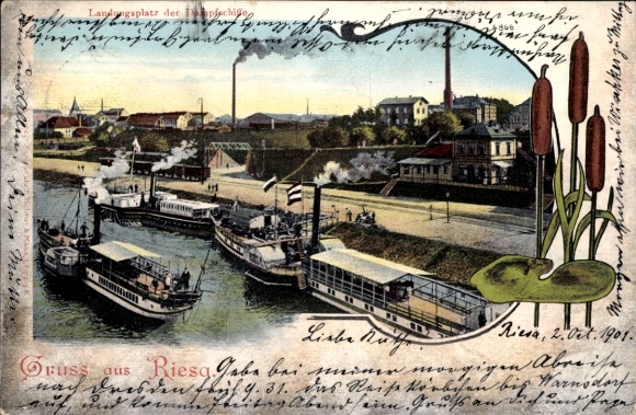 Postcard Riesa on the Elbe Saxony, landing place of the steamships, factory, cattail reed