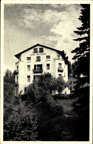 Ak Weggis Kanton Luzern, Hotel Belvedere, Gebäude mit Balkonen, Bäume im Vordergrund