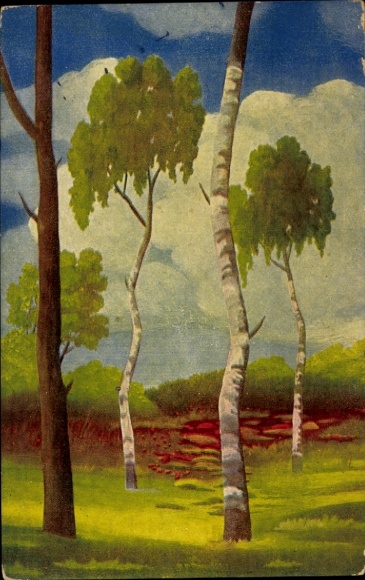Künstler Ak Landschaft, Birken