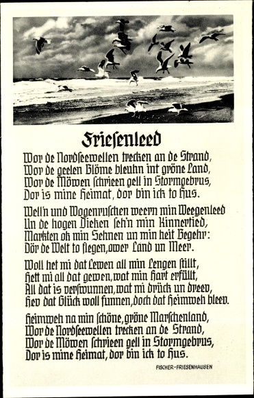 Song Postcard Fischer Friesenhausen, Friesenleed, seagulls over the sea
