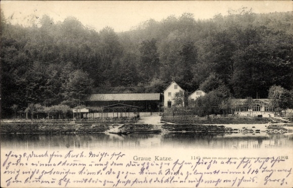 Postcard Kassel in Hesse, Grey Cat in the Fulda Valley