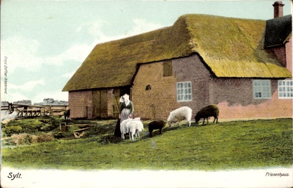Ak-eiland Sylt in Noord-Friesland, Fries huis, schaap, vrouw, landelijk landschap