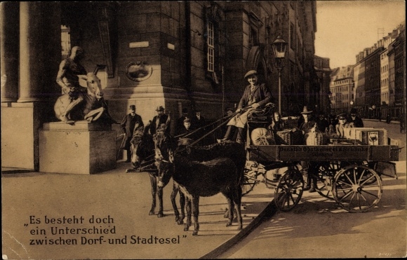 PC Dresden, wagon Donath&#39;s fruit press Lockwitzgrund, difference village donkey and city donkey