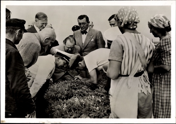 Foto Hoffmann, Müncheberg Märkisch Oderland, Kaiser Wilhelm Institut, Göring, Züchtungsforschung