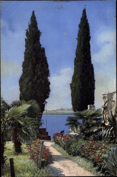 Postcard Gardasee?, photochromia, Nenke and Ostermaier 1833, garden with palm trees, cypresses