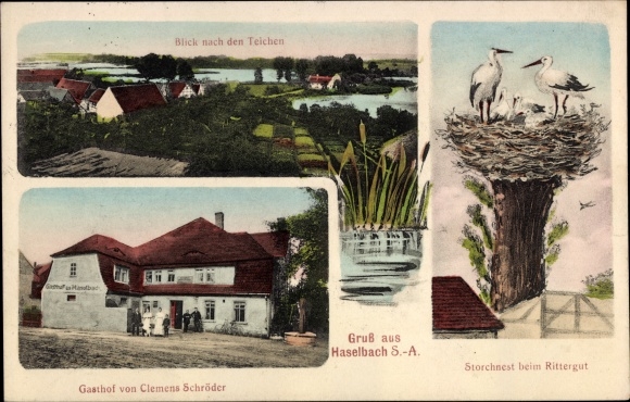 Ak Haselbach bij Altenburg, herberg Clemens Schröder, ooievaarsnest op het landhuis