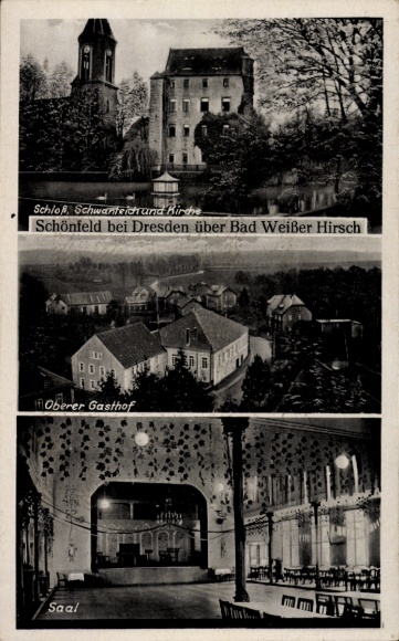 Postcard Dresden Schönfeld, Castle, Swan Pond, Church, Upper Inn, Hall