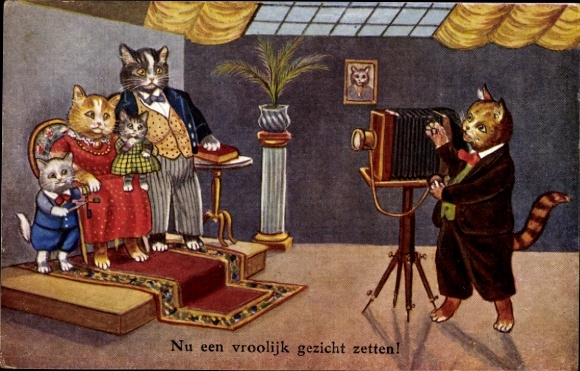 Postcard Humanized Cats, Photographer makes family portrait, Please be kind