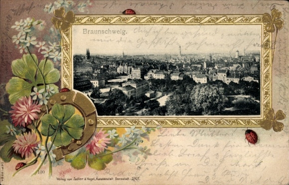 Präge Passepartout Ak Braunschweig in Niedersachsen, Panorama