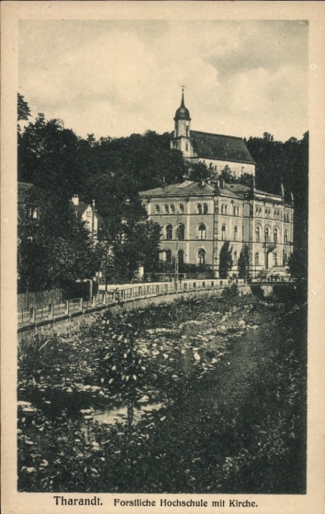 Ak Tharandt im Erzgebirge, Forstliche Hochschule mit Kirche