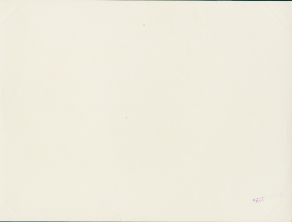 Photo Amsteg Silenen Kanton Uri, Panorama