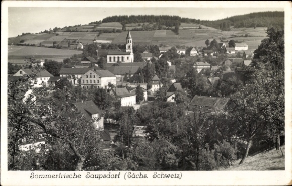 Ak Saupsdorf Sebnitz Sächsische Schweiz, Sommerfrische  Sächsische Schweiz, Gebäudelaubäume, L...