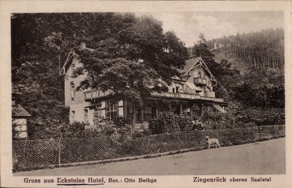 Postcard Ziegenrück on the Saale Thuringia, Ecksteins Hotel