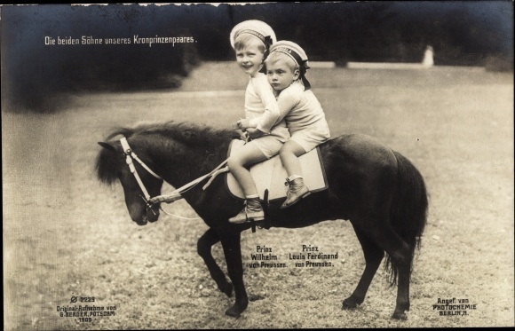 Postcard The two sons of our crown prince couple, Prince Wilhelm and Prince Louis Ferdinand