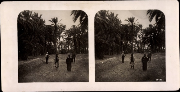Stereo photo Biskra Algeria, Oase Lallia, Palmenhaine