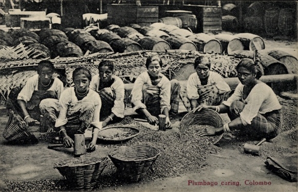 Ak Colombo Ceylon Sri Lanka, Plumbago curing