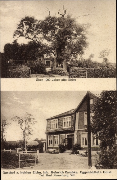 Ak Eggenbüttel Egenbüttel Rellingen in Holstein, Gasthof zur Hohle Eiche, 1000 jaar oude eik