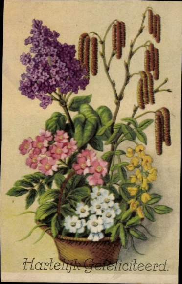 Postcard congratulations, flowers, flower basket, lilac