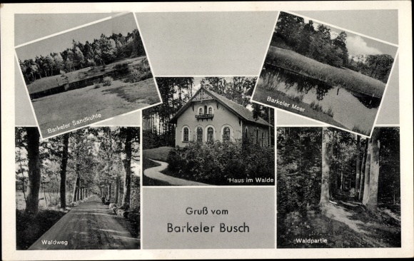 PC Barkel Schortens in Friesland, Barkeler Busch, forest area, Barkeler Meer, forest path