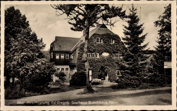 Ak Hirschsprung Altenberg Erzgebirge, Blick auf Gasthof Buschhaus