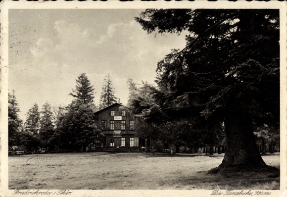 Picture PC Friedrichroda in the Thuringian Forest, house in the forest, sanse beech, trees, nature