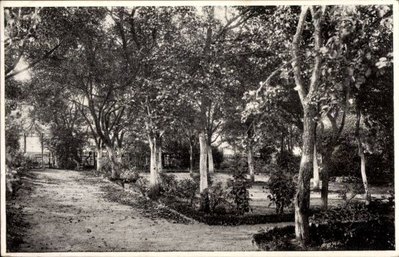 Postcard Amorbach in the Odenwald Lower Franconia, daughters' home of S. Füchtbauer, garden