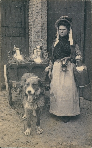 Ak Belgische Tracht, Milchmädchen, Hundekarren, Arbeitshund, Milchkrug