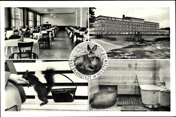 Postcard Bad Bramstedt in Holstein, New Kurhaus, moor bathing cabin, deer, squirrel