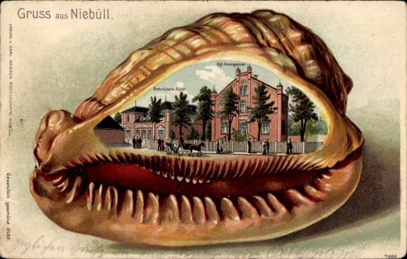Embossed shell litho Niebüll in North Frisia, district court, Schröder's Hotel