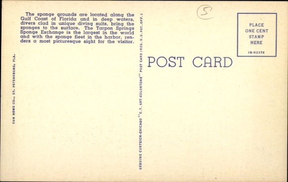 Postcard Tarpon Springs Florida USA, sponge diver