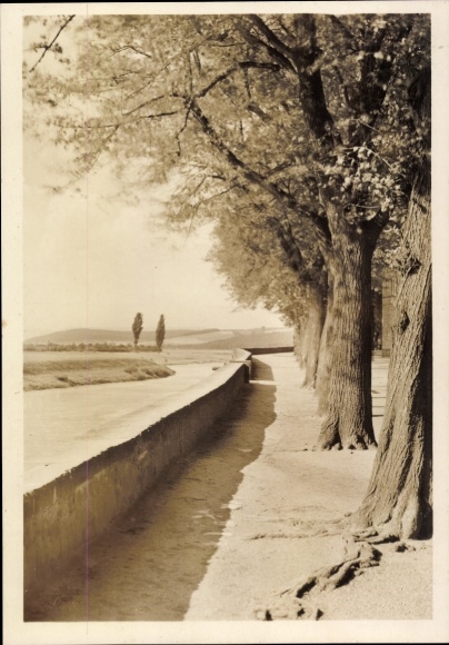 Ak Hameln an der Weser Niedersachsen, Weserpromenade