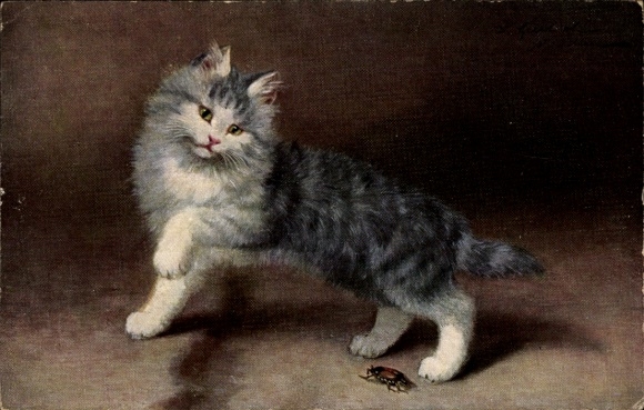Artist Postcard Sperlich, cat and cockchafer