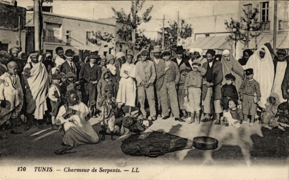 Postcard Tunis Tunisia, snake charmer
