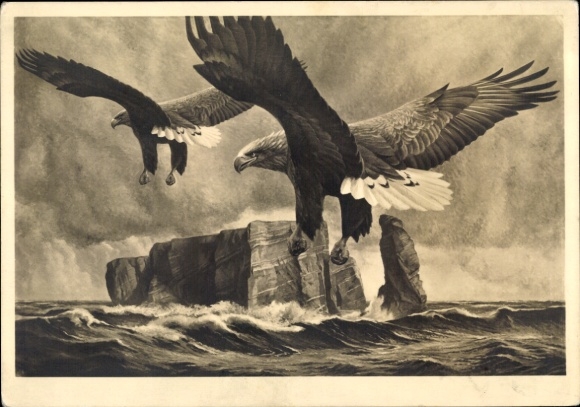 Künstler Ak Kiefer, Michael Mathias, Die Wacht, HDK 86, Adler, Helgoland