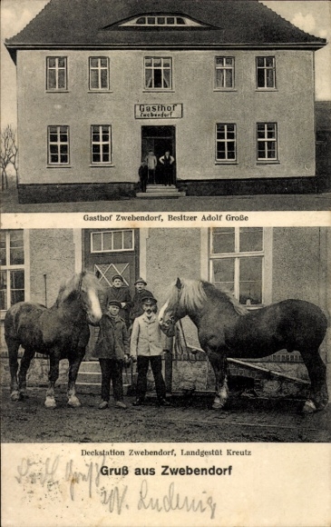Postcard Zwebendorf Hohenthurm Landsberg im Saalekreis, Inn, Stud Farm, Kreutz State Stud
