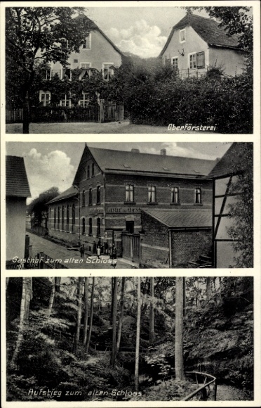 Ak Waldeck in Thüringen, Bosbouwkantoor, Inn naar het Alte Burg, Beklimming naar het Alte Burg