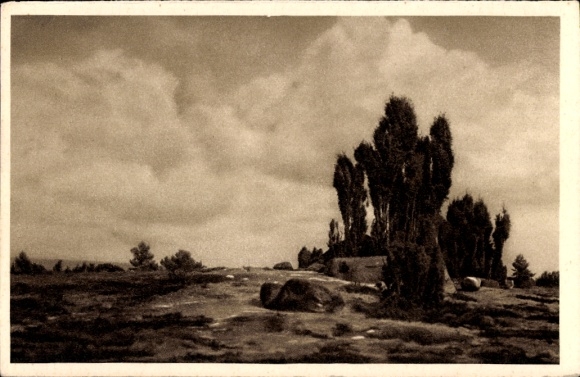 Postcard Wilsede, Lüneburg Heath, WHW The beautiful Germany Image 5