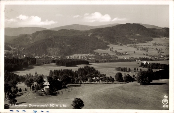 Ak Hinterzarten im Schwarzwald,  Schwarzwald, 900 m, Landschaftsaufnahme