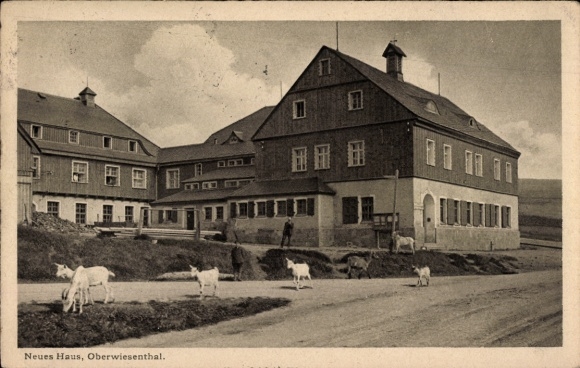 Ak Oberwiesenthal im Erzgebirge Sachsen, Neues Haus, Ziegen