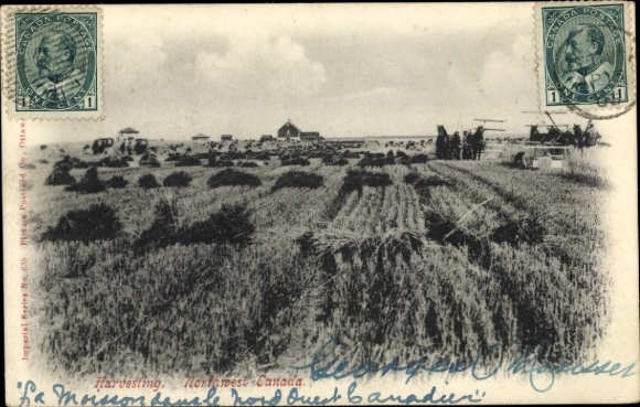 Ak Fort Resolution Nordwest Territorien Kanada, Erntefeld, Landwirte, Maschinen, Postkarte, Sc...