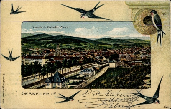 Passepartout Chromo-Litho Guebwiller Gebweiler Alsace Haut Rhin, general view, swallows