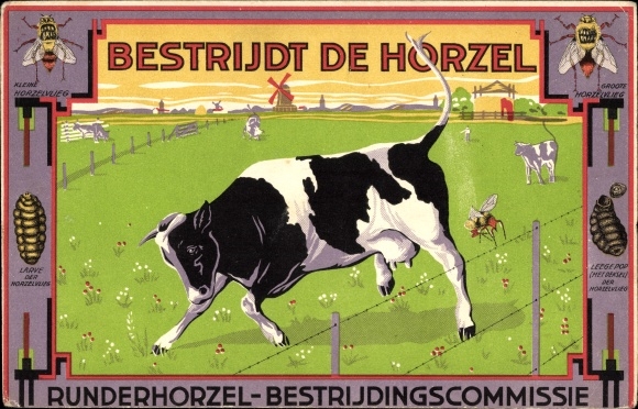Postcard Combats the Hornet, Cattle Hornet Control Committee