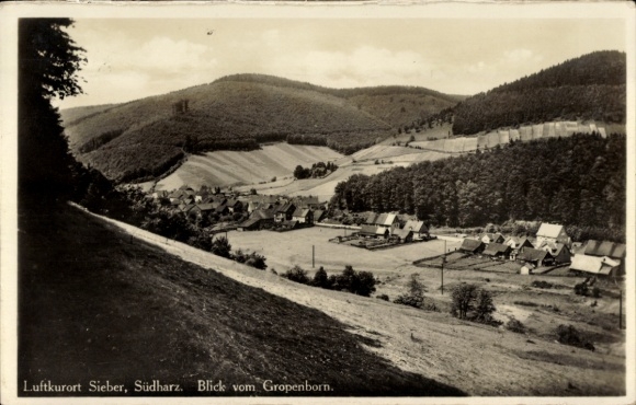 Ak Sieber Herzberg am Harz, algemeen beeld, Gropenborn