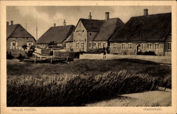 Ak Hallig Hooge in Nordfriesland, Königspesel, Häuser