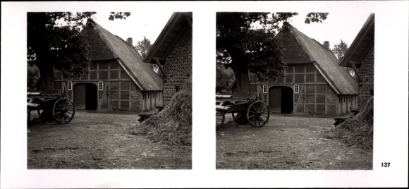 Stereo Raumbild Foto "Deutsche Gaue", Nr. 137 Lüneburger Heide, Heidehof, Foto Walter Tröller
