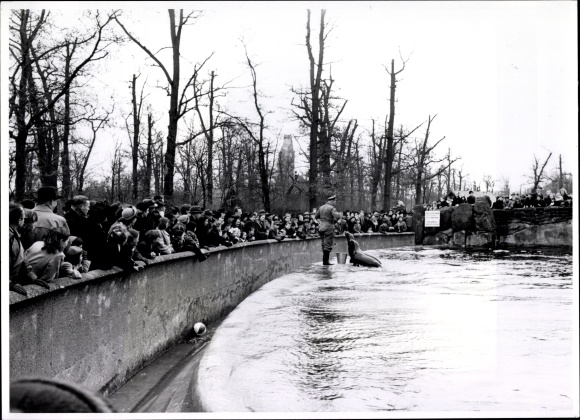 Foto Berlin Tiergarten, Bert Sass, Robbenfütterung im Berliner Zoo