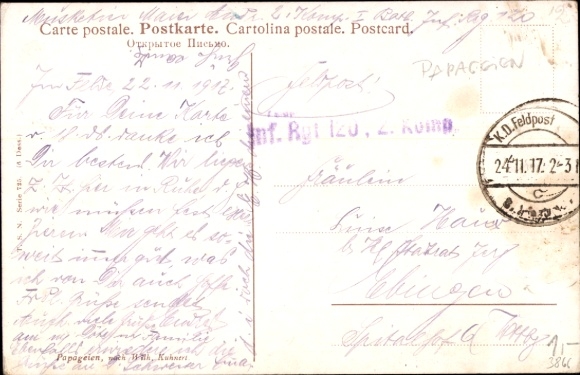 Artysta KP papugi, ptaki