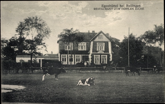 Ak Egenbüttel Rellingen in Holstein, restaurant aan de holle eiken, koeienweide