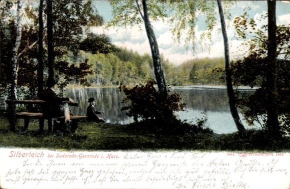 Postcard Suderode Wulperode Osterwieck, Silberteich
